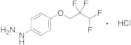 [4-(2,2,3,3-tetrafluoropropoxy)phenyl]hydrazine Hydrochloride