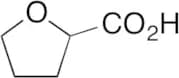 2-Tetrahydrofuroic Acid