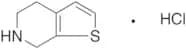 4,5,6,7-Tetrahydrothieno[2,3-c]pyridine Hydrochloride