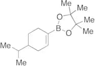 4,4,5,5-Tetramethyl-2-[4-(1-methylethyl)-1-cyclohexen-1-yl]-1,3,2-dioxaborolane