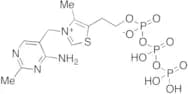Thiamine Triphosphate