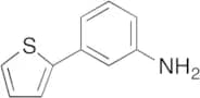 3-Thiophen-2-yl-phenylamine