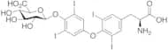 Thyroxine 4’-O-β-D-Glucuronide