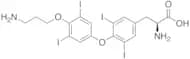 Thyroxine Aminopropyl Ether