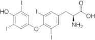 Thyroxine (100% pure T4 reference standard (free of T3))