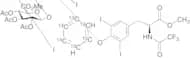 N-(Trifluoroacetyl)-thyroxine-13C6 4’-O-β-D-Glucuronide Triacetate Dimethyl Ester