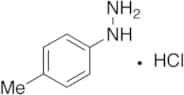 4-Tolylhydrazine Monohydrochloride