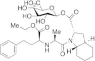 Trandolapril Acyl-β-D-glucuronide, 85%