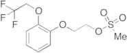 2-[2-(2,2,2-Trifluoroethoxy)phenoxy]ethyl Methanesulfonate
