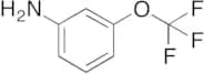 3-(Trifluoromethoxy)aniline
