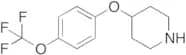 4-[4-(Trifluoromethoxy)phenoxy]piperidine