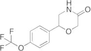 6-[4-(Trifluoromethoxy)phenyl]-3-morpholinone