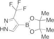 [3-(Trifluoromethyl)-1H-pyrazol-4-yl]boronic Acid Pinacol Ester