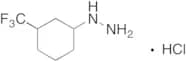 [3-(Trifluoromethyl)cyclohexyl]hydrazine Hydrochloride