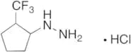 [2-(Trifluoromethyl)cyclopentyl]hydrazine Hydrochloride