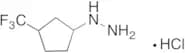 [3-(Trifluoromethyl)cyclopentyl]hydrazine Hydrochloride
