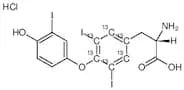 3,3’,5-Triiodothyronine-(tyrosine phenyl-13C6) Hydrochloride