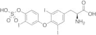 3,3’,5-Triiodo-L-thyronine 4’-O-Sulfate