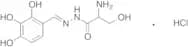 [(2,3,4-Trihydroxyphenyl)methylene]hydrazide-serine Hydrochloride