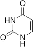 Uracil