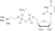Uridine Diphosphate Choline Ammonium Salt