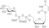 Uridine 5'-Diphosphoglucose Disodium Salt