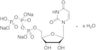 Uridine 5’-Triphosphate Trisodium Hydrate