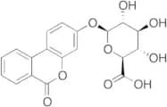 Urolithin B Glucuronide