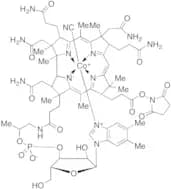 Vitamin B12 e-NHS Ester