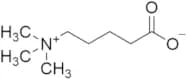 δ-​Valerobetaine