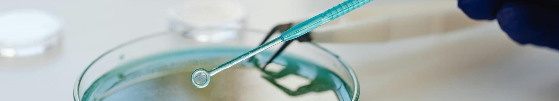 Essentiels des Réactifs d'Électrophorèse en Biochimie