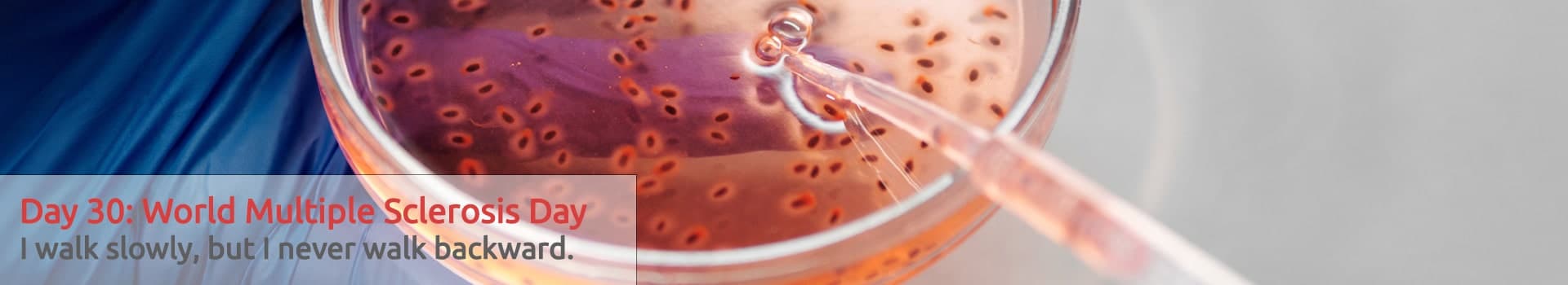 Journée mondiale de la sclérose en plaques : une opportunité pour sensibiliser et éduquer sur cett…