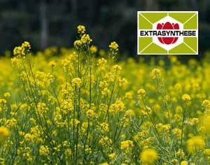 Familles de produits d'Extrasynthese, notre partenaire clé