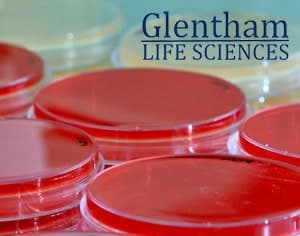 Glentham Life Sciences : Découvrez la gamme d'acides aminés