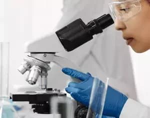 Découvrez notre nouveau partenaire : SRL