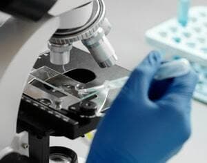 CymitQuimica est sponsor de la SEBBM (Société espagnole de biochimie et de biologie moléculaire)